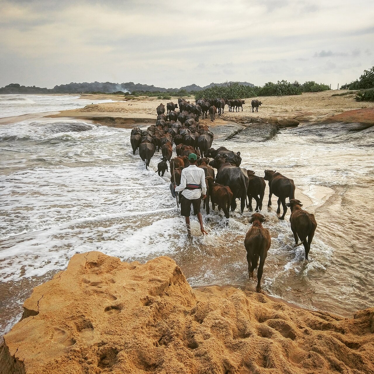 Arugam Bay