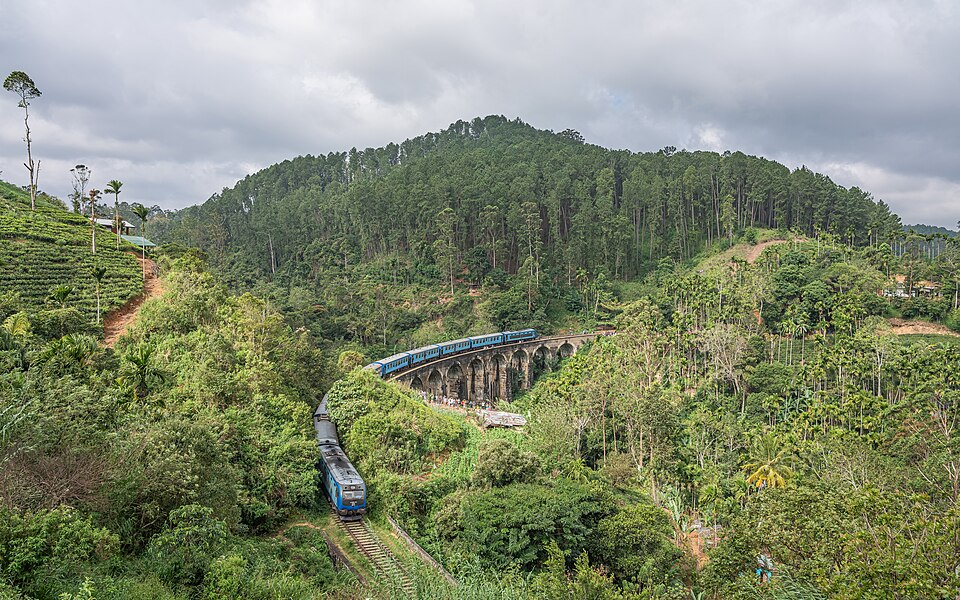 Ella — image 2